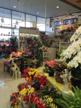 「大福生花店」　（福岡県朝倉市）の花屋店舗写真1